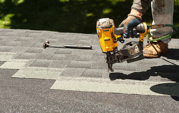 Best Roof Gutter Cleaning  in Little Falls, NY